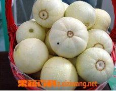 白皮瓜怎样吃