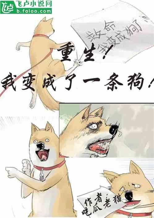 请安吃瓜小说