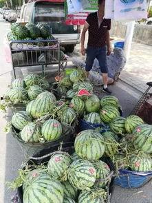 江西饭店吃瓜事件,一场引发社会热议的“瓜田李下”风波