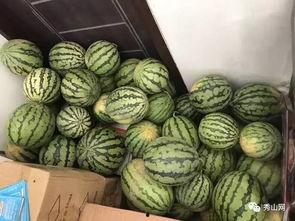 钰溪吃瓜,揭秘娱乐圈幕后故事