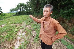 老汉瓜可以保存几天吃,轻松保存，美味持续数日