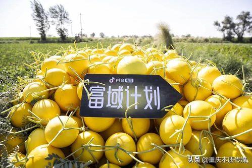 抖音笛笛吃瓜,笛笛吃瓜，揭秘娱乐圈幕后故事