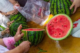 广东吃瓜的视频