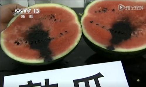 广东中山吃瓜视频,探寻广东美食的独特魅力