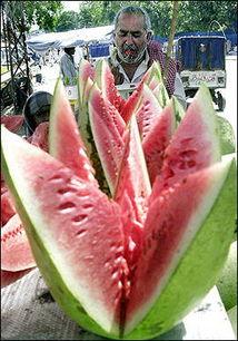 巴基斯坦边境吃瓜,瓜果飘香，共享欢乐时光