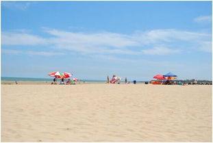 日照海边吃瓜,尽享夏日清凉时光