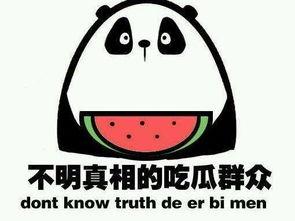 吃瓜网友图片,吃瓜网友视角下的娱乐圈风云录