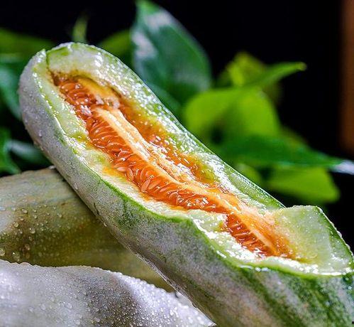 山东可以吃的瓜,探寻鲁地瓜香之旅