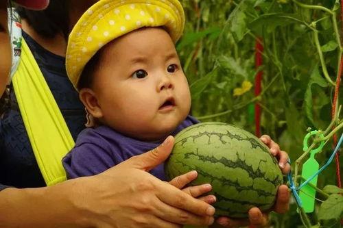 亲亲吃瓜群,揭秘网络社交圈的趣味与争议