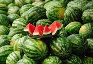 啥药和那瓜能在一起吃吗,探寻中药与食材的完美融合