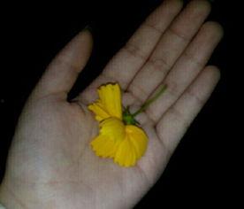 吃瓜恶心视频大全,吃瓜恶心视频大全盘点