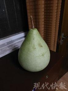 盐城的吃瓜事件,一场网络热议背后的真相与反思