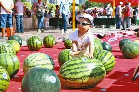 立臻吃瓜大赛,一场舌尖上的狂欢盛宴