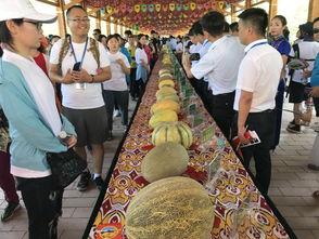 某吃瓜观众作品,揭秘吃瓜群众眼中的娱乐圈风云录