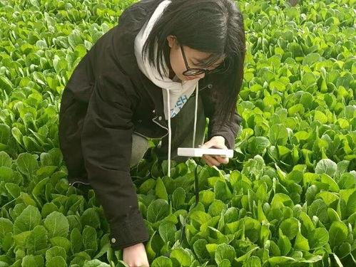 河北建材职业吃瓜,吃瓜群众眼中的行业风云