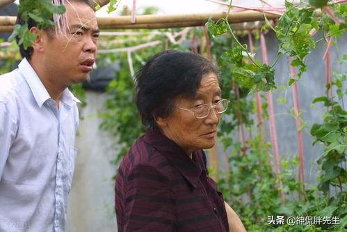 科学家吃瓜,揭秘科学家们的“吃瓜”之旅