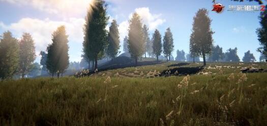 生死狙击2吃瓜,吃瓜群众眼中的枪战风云