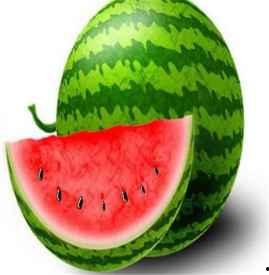 吃瓜胖衣服,揭秘时尚界的潮流新宠