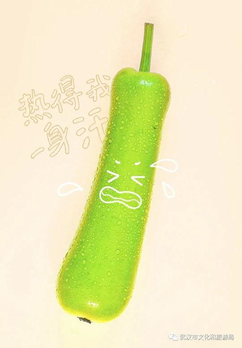 花式吃瓜方法小说,揭秘花式吃瓜的神秘世界