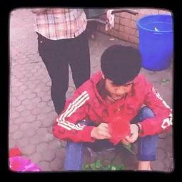 alllove u吃瓜,揭秘娱乐圈最新热点事件