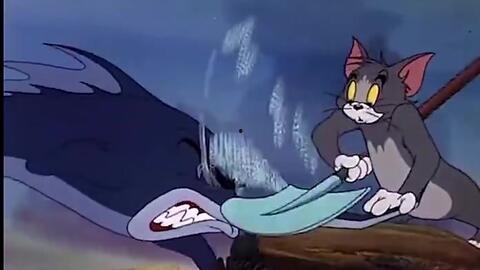 猫吃瓜视频完整,一场猫界吃瓜盛宴的欢乐时光