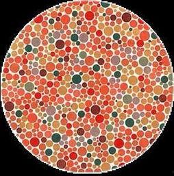 吃瓜色弱测试,吃瓜色弱测试带你一探究竟