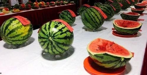 梁氏吃瓜,揭秘娱乐圈幕后故事