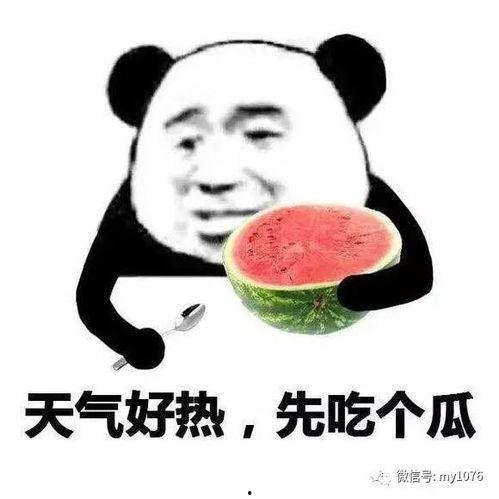 吃瓜的小孩表情包